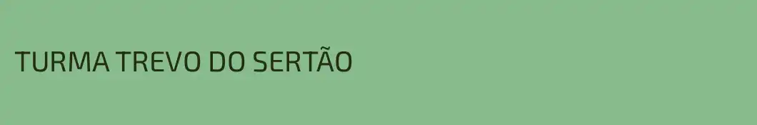 TURMA TREVO DO SERTÃO